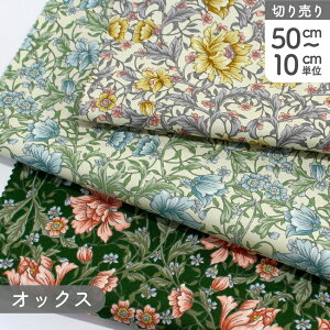 ԕ {^jJ GKgIbNX vgn Ж110cm (ŒP50cm`10cmPʂ̐؂蔄)