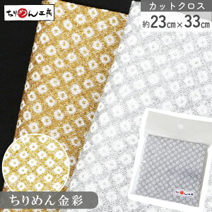 ߂ a JbgNX ߂񐶒n ̎q  23×33cm [100 an |Eaޗ