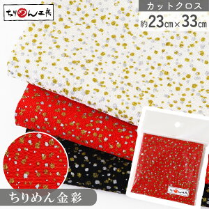 ߂ a JbgNX ߂񐶒n ␁  23×33cm [100 an |Eaޗ