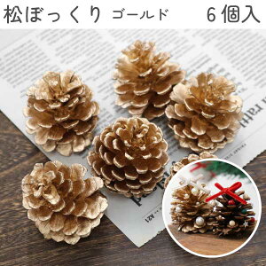 ʌI VRڂ S[h 6 NX}X H