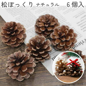 ʌI VRڂ i` 6 NX}X H