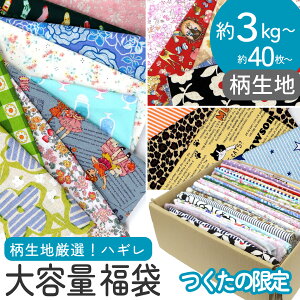 ͂  3kg 40ȏ`I zZbg | pb`[N n TCYFX