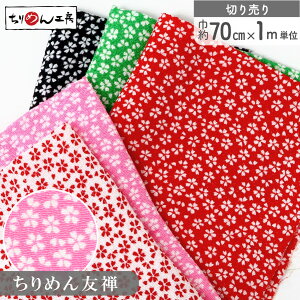 ߂ n ߂񐶒n a  FT 70cm×1mPʂ̐؂蔄 [100 an |   ANZ