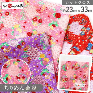 yRSS P5{z ߂ a JbgNX ߂񐶒n ό`H`ƒ  23×33cm [100 an |Eaޗ