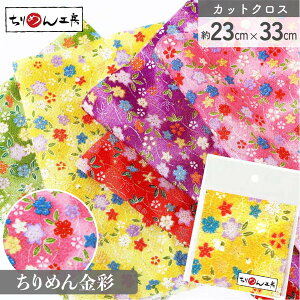 ߂  JbgNX 23×33cm ڂj[ a| ߂׍H JbgNX ͂ a ߂񐶒n  D [100 an |Eaޗ