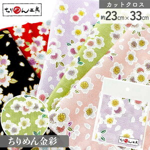 ߂  JbgNX 23×33cm Ƃڂ a| ߂׍H JbgNX ͂ a ߂񐶒n  D [100 an |Eaޗ