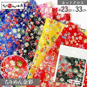 ߂  JbgNX 23×33cm Ƃ񂴂 a| ߂׍H JbgNX ͂ a ߂񐶒n  D [100 an |Eaޗ