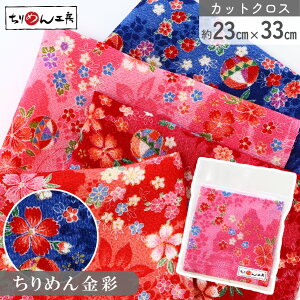 yRSS P5{z ߂ a JbgNX ߂񐶒n {JV~Ə  23×33cm [100 an |Eaޗ