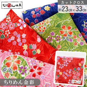 yRSS P5{z ߂ a JbgNX ߂񐶒n ƍgt  23×33cm [100 an |Eaޗ