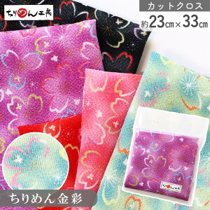 yRSS P5{z ߂ a JbgNX ߂񐶒n C  23×33cm [100 an |Eaޗ