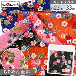 yRSS P5{z ߂ a JbgNX ߂񐶒n Of[V␁ 23×33cm [100 an |Eaޗ