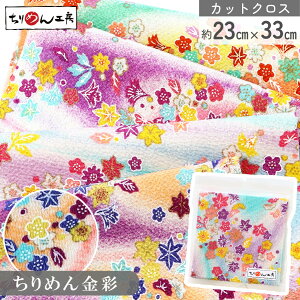 yRSS P5{z ߂ a JbgNX ߂񐶒n gtƏ Of[V  23×33cm [100 an |Eaޗ