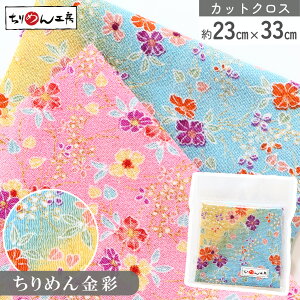 yRSS P5{z ߂ a JbgNX ߂񐶒n j[ƃ{JV  23×33cm [100 an |Eaޗ