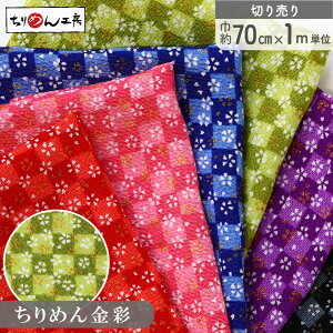 yRSS P5{z ߂ n ߂񐶒n a Ǝs  70cm×1mPʂ̐؂蔄 [100 an |   ANZ