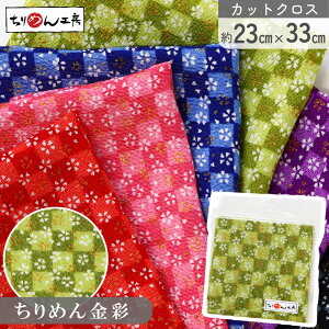 yRSS P5{z ߂ a JbgNX ߂񐶒n Ǝs  23×33cm [100 an |Eaޗ