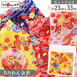 yRSS P5{z ߂ a JbgNX ߂񐶒n Ə  23×33cm [100 an |Eaޗ