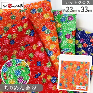 yRSS P5{z ߂ a JbgNX ߂񐶒n Ԃƍgt  23×33cm [100 an |Eaޗ