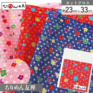 ߂ FT JbgNX 23×33cm ̗tƍgtƋe a| ߂׍H JbgNX ͂ a ߂񐶒n  D [100 an |Eaޗ