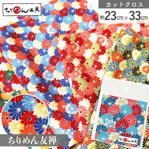 ߂  JbgNX 23×33cm Jte a| ߂׍H JbgNX ͂ a ߂񐶒n  D [100 an |Eaޗ