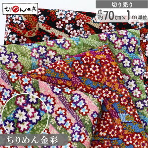 yRSS P5{z ߂ n ߂񐶒n a Ԑs  70cm×1mPʂ̐؂蔄 [100 an |   ANZ