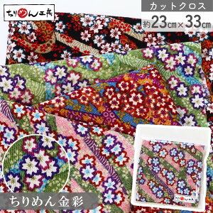 yRSS P5{z ߂ a JbgNX ߂񐶒n Ԑs  23×33cm [100 an |Eaޗ