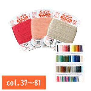 tWbNX nCXp {^  20Ԏ 30m tt {^t D D a m ʒn n