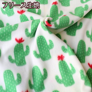 n t[X T{e (ŒP30cm`10cmPʂ̐؂蔄) t[X2202