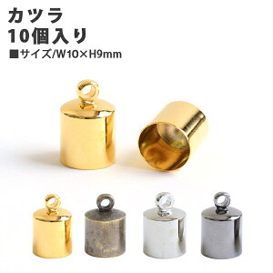 �A�N�Z�T���[ �J�c�� (W10×H9mm)10���� �A�N�Z�T���[�ޗ�| ����y����