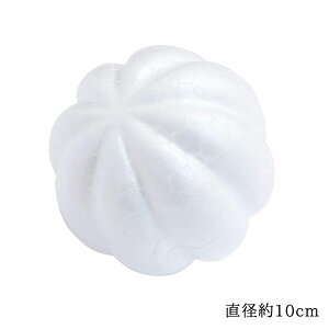 ؖڍ݌^X`[ X`{| a10cm 5 AX`[ X`{[