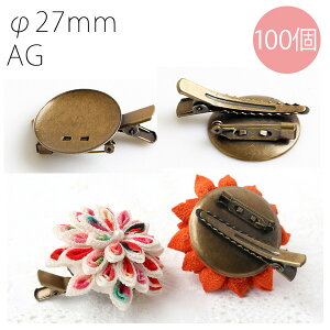 yp z t RT[W Nbv 27mm AeB[NS[h 100 | y