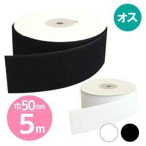 yp5mz}WbNe[v(GR}WbN)Dp 50mmx5m yAIXzE ʃt@Xi[ xN Dt Ɩp