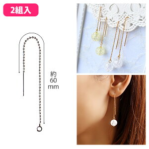 ANZT[ AJsAX {[`F[^Cv 2g KE1124 KE1125| y sAXALb`