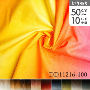 n z nCA Of[Vn ڂ nCALg vgn (ŒP50cm10cmPʂ̐ؔ)