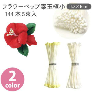 t[ybv zCg CG[ fʋɏ 144{×5 0.3×6cm