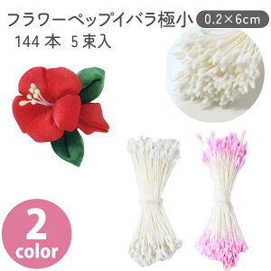 t[ ybv Co zCg sN 0.2×6cm 144{×5