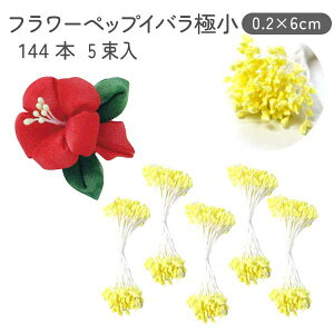 t[ ybv Co CG[ 0.2×6cm 144{×5