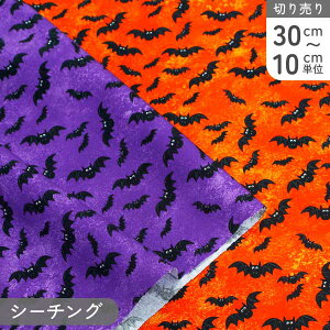 n An RE nEB Michael Miller }CP~[ (ŒP30cm`10cmPʂ̐؂蔄)