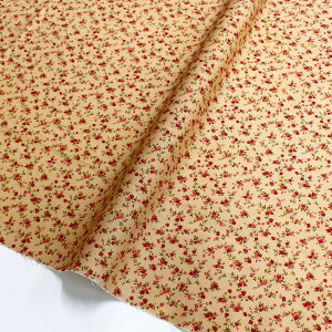 n An FɐԂ̏ROBERTKAUFMANo[gJt} USAvg(ŒP30cm`10cmPʂ̐؂蔄)