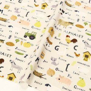 n An USAn t@[V[Y x[Wn pƓ STELLA Xe TIMELESS (ŒP30cm10cmP)