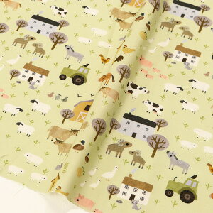 n An USAn t@[V[Y CgO[n q̕i STELLA Xe TIMELESS (ŒP30cm10cmP)