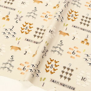 n An USAn t@[V[Y x[Wn Ɠ STELLA Xe TIMELESS (ŒP30cm10cmP)