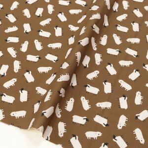 n An USAn t@[V[Y uEn R̗r STELLA Xe TIMELESS (ŒP30cm10cmP)