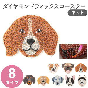 _ChtBbNX _ChA[g Ck r[YLbg R[X^[@ ˂ACeW ybg  ċx HLbg w S q qǂ