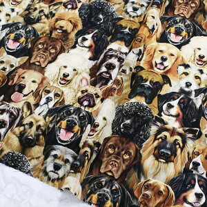 n An USAn AW  ybg TIMELESSTREASURE ^CXgW[ (ŒP30cm10cmP)