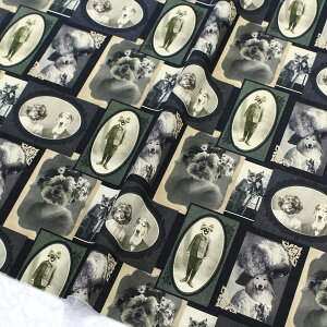 n An USAn mN̎ʐ^  ybg TIMELESSTREASURE ^CXgW[ (ŒP30cm10cmP) LnW