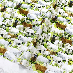 n An USAnAřQ TIMELESSTREASURE ^CXgW[ (ŒP30cm10cmP)