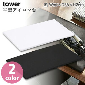 AC tower TOWER ^AC W60×D36×H2cm ^[ RpNg ȃXy[X ^[ zCg ubN 2FWJ