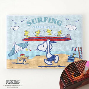 _ChtBbNX _ChA[g Xk[s[ SURFING r[YLbg Xk[s[ s[ibc