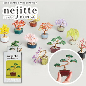 【RSS期間 P5倍】 ビーズキット ネジッテ BONSAI 盆栽 松 梅 紅葉 銀杏 ビーズキットセット MIYUKI ミニチュア 植物 置物 観賞用 プレゼント ミニ盆栽 手作り盆栽 桜 松 梅