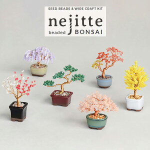 r[YLbg lWbe BONSAI ~  ~ gt  r[YLbgZbg MIYUKI ~j`A A u Ϗܗp v[g ~j~ ~   ~